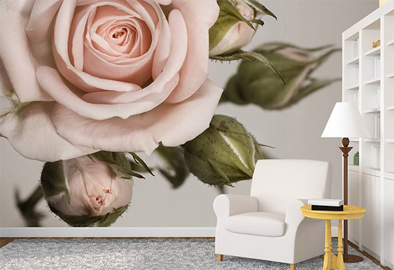 Fototapet Flori - Trandafir roșu