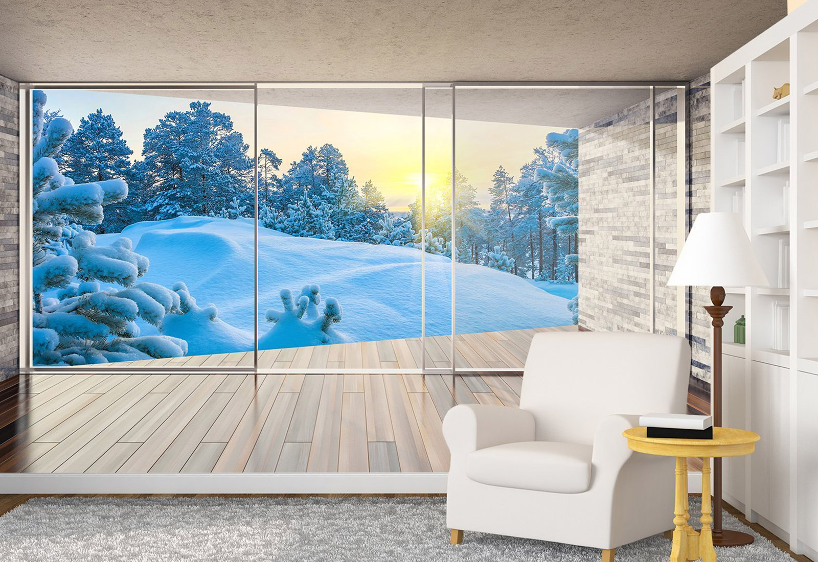 Перспективные Фотообои Кишинев - Вид из окна, Зима