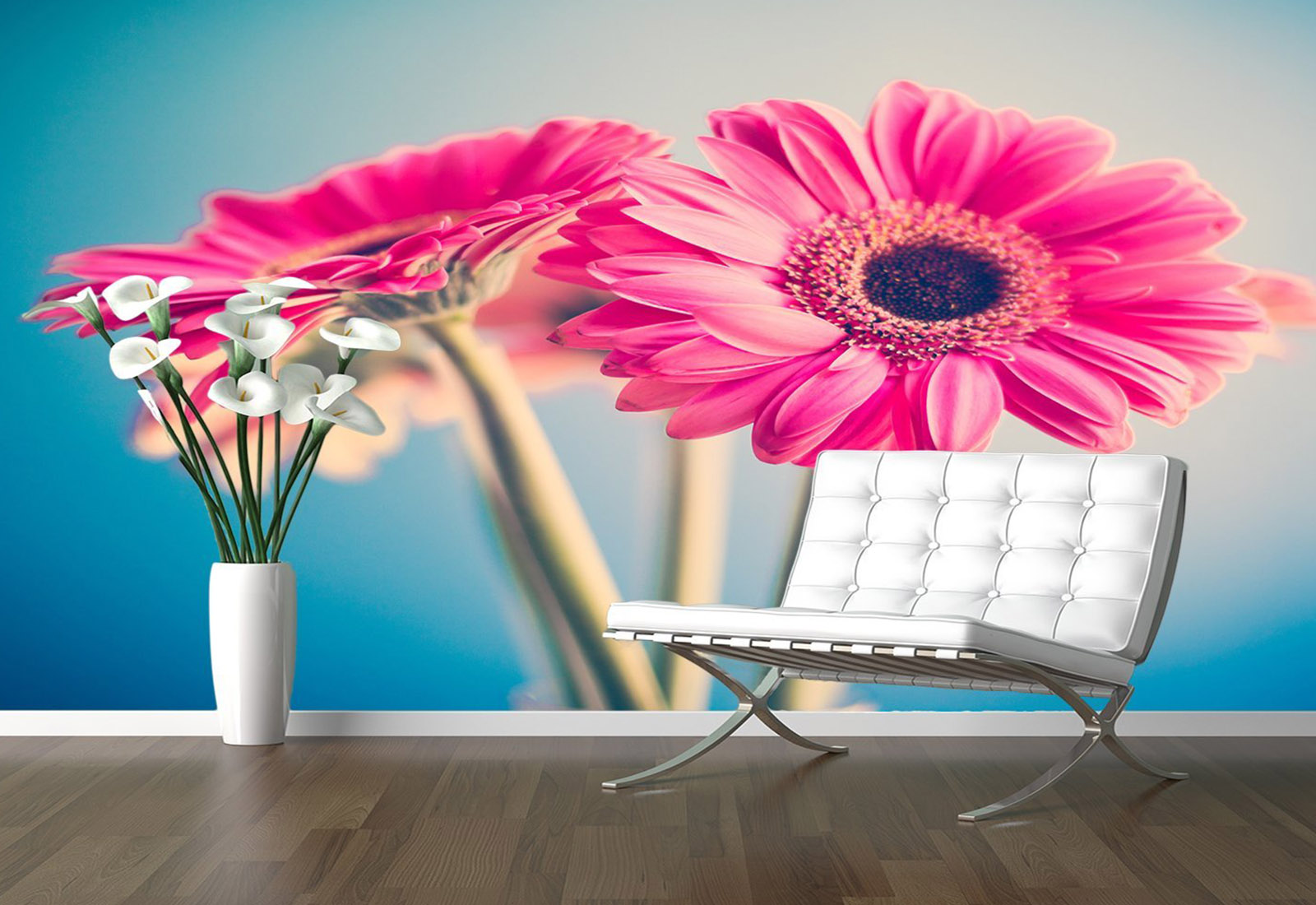 Fototapet Flori - Gerbera pe fon albastru