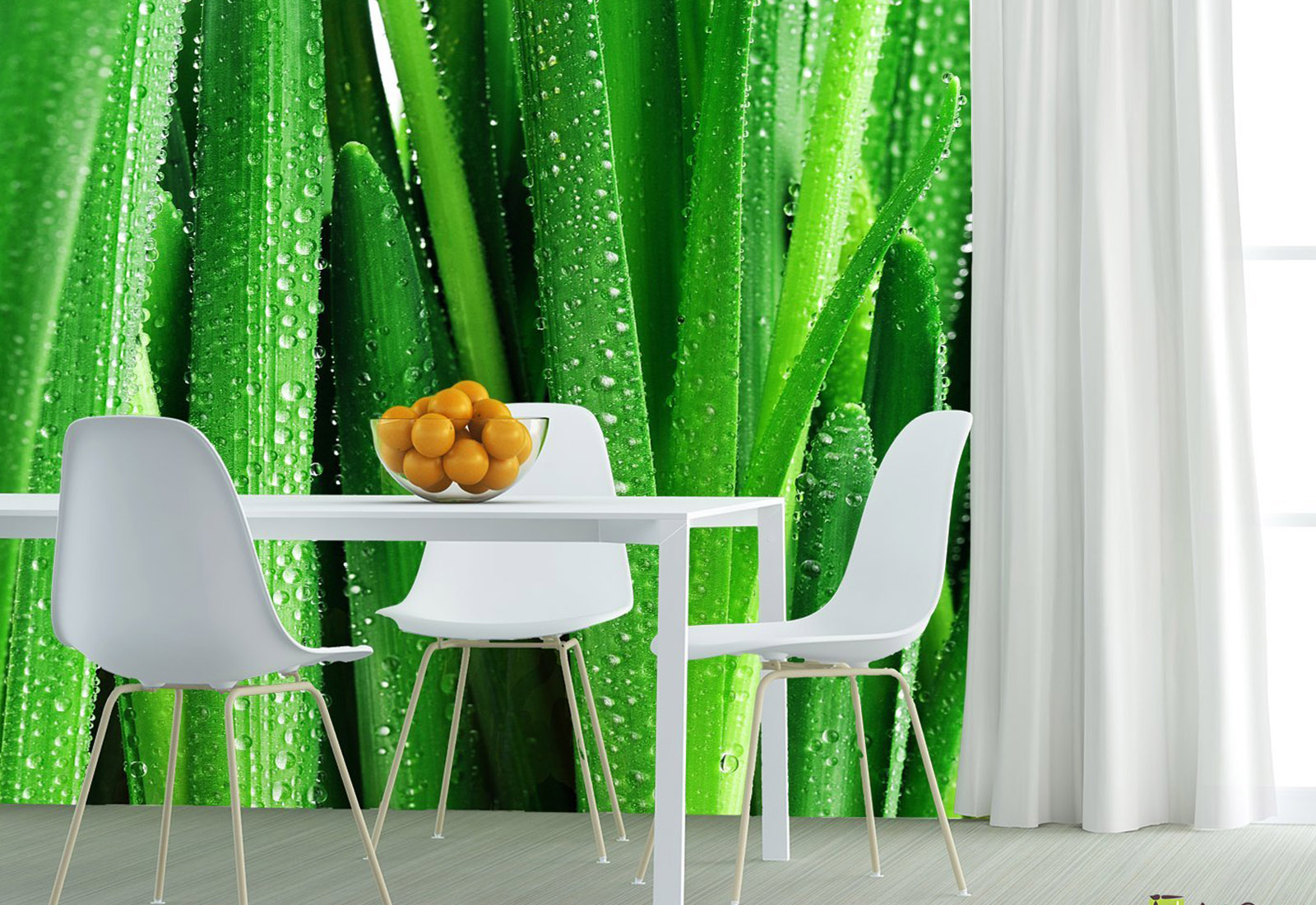 Фотообои на стену - Капли росы на свежих зеленых листьях