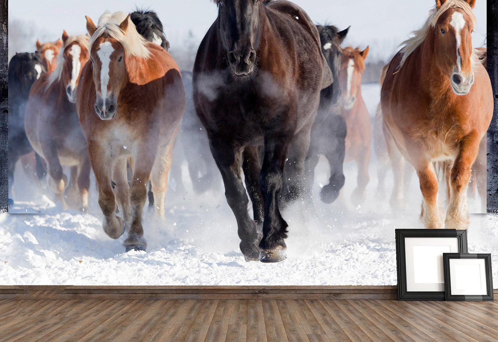 Fototapet la comanda - Turma de cai