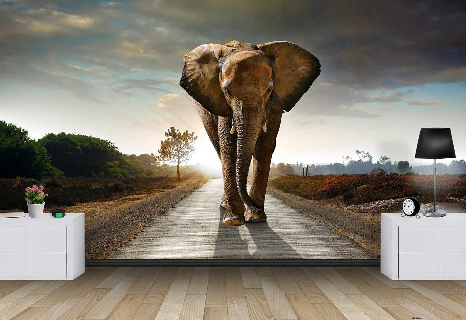 Fototapet la comanda - Elefant la drum