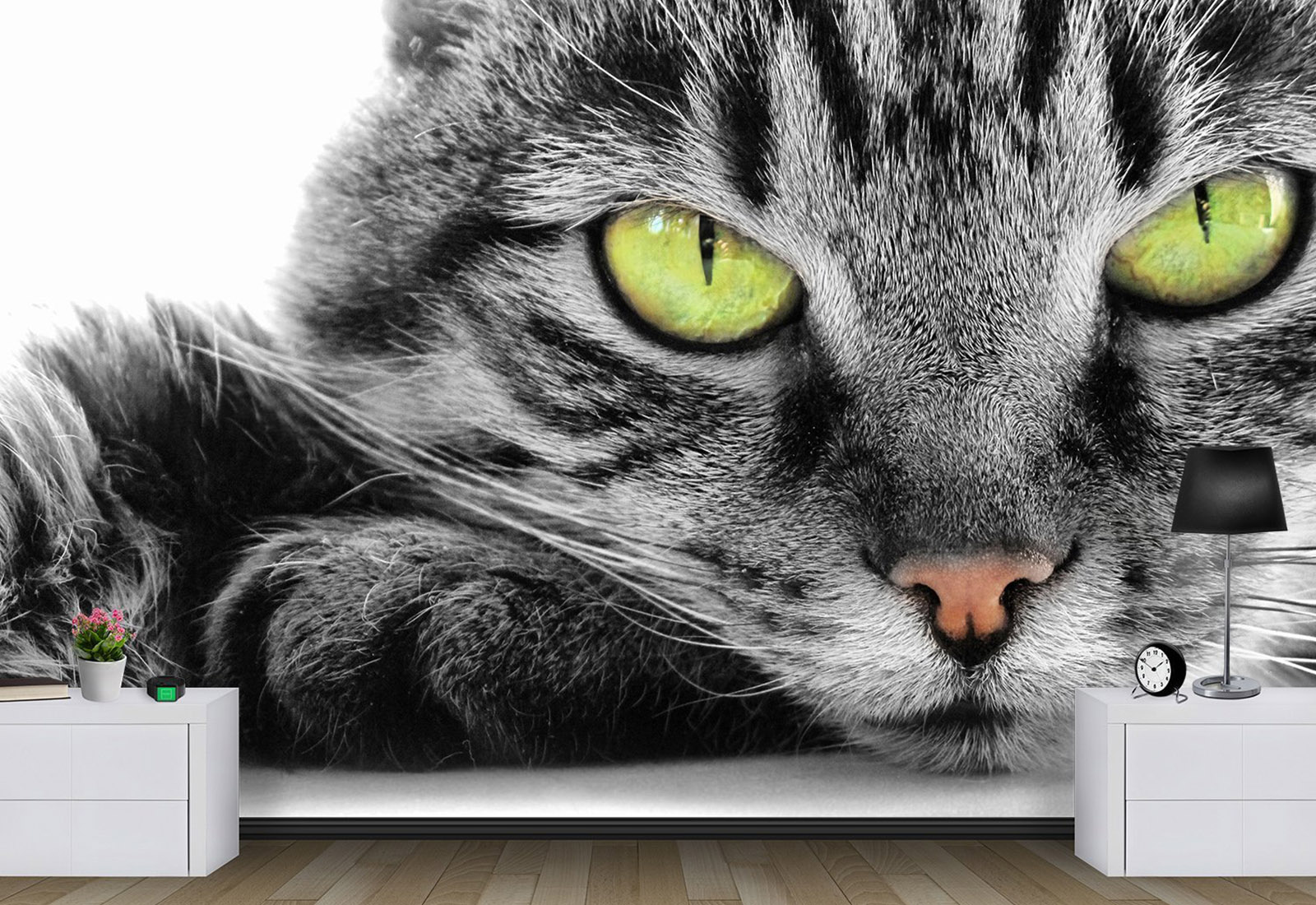 Fototapet la comanda - Motan frumos