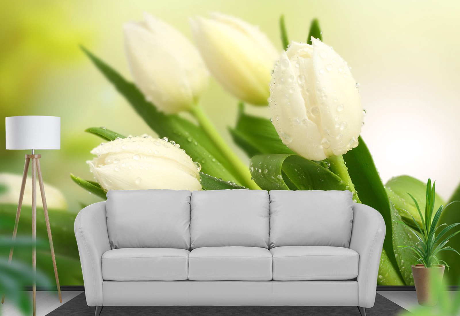 Fototapet Flori - Lalele albe