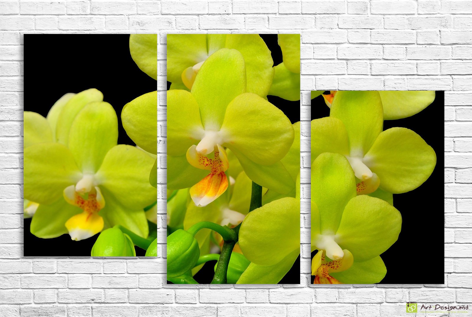 💚 Модульная картина «Зелёная орхидея» триптих