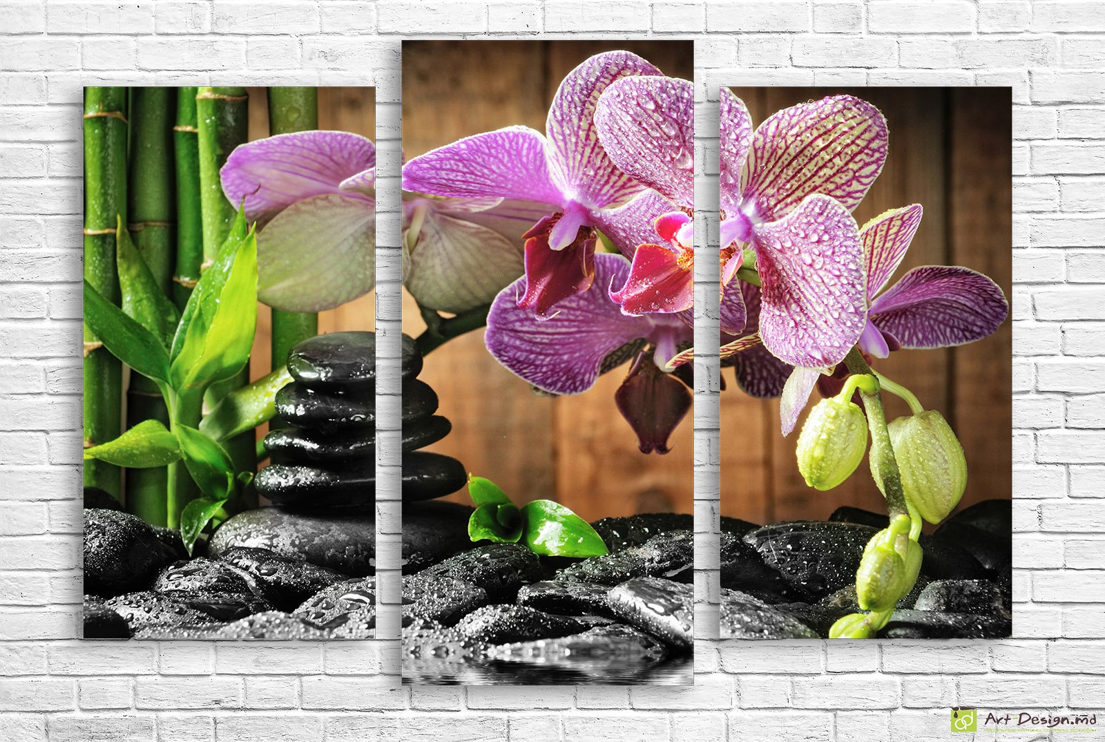 🖼️ Модульная картина розовые орхидеи бамбук и камни