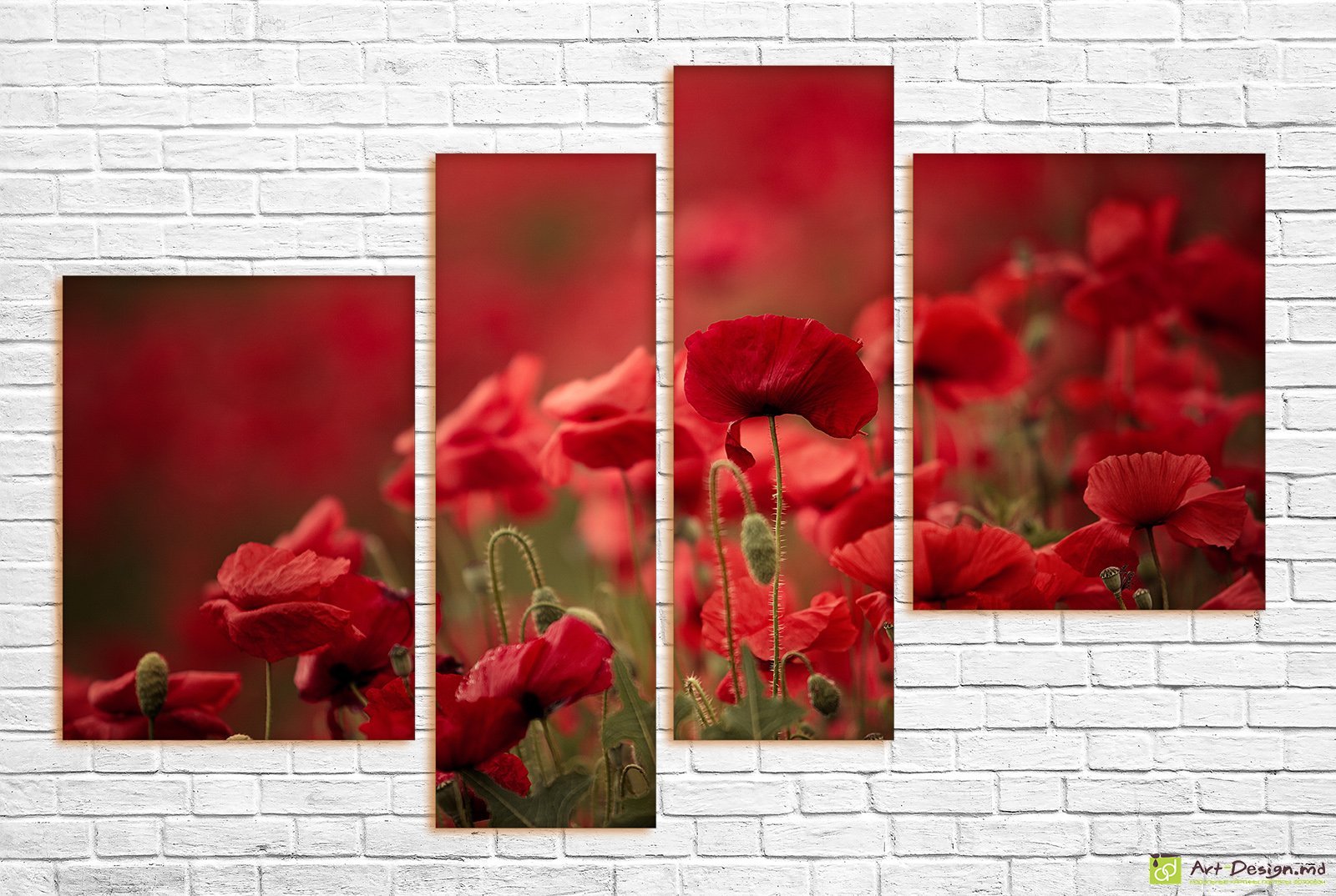 🌺 Tablou modular: Maci roșii în câmp