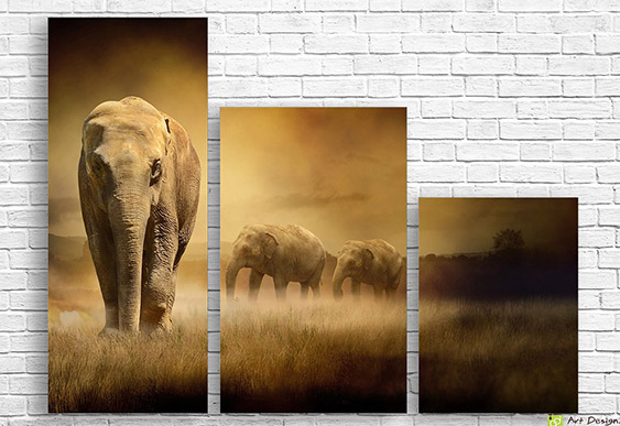 🐘 Tablou modular Familie de elefanți în savana cu ceață