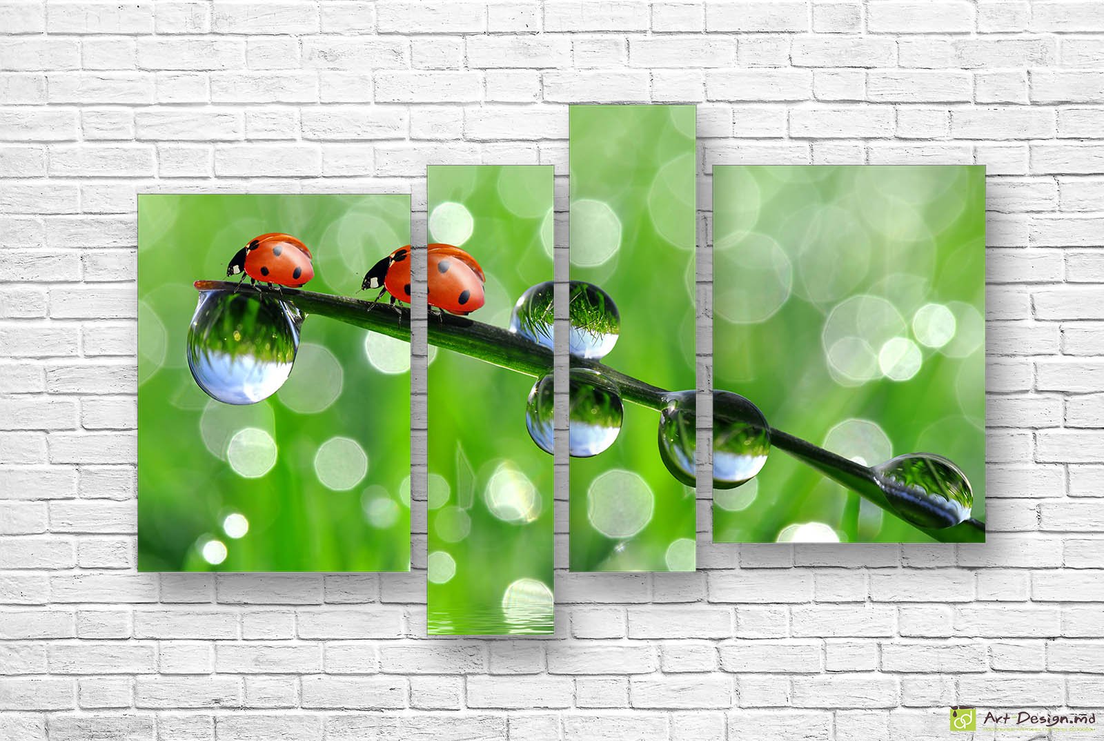 🐞 Модульная картина Божьи коровки и роса