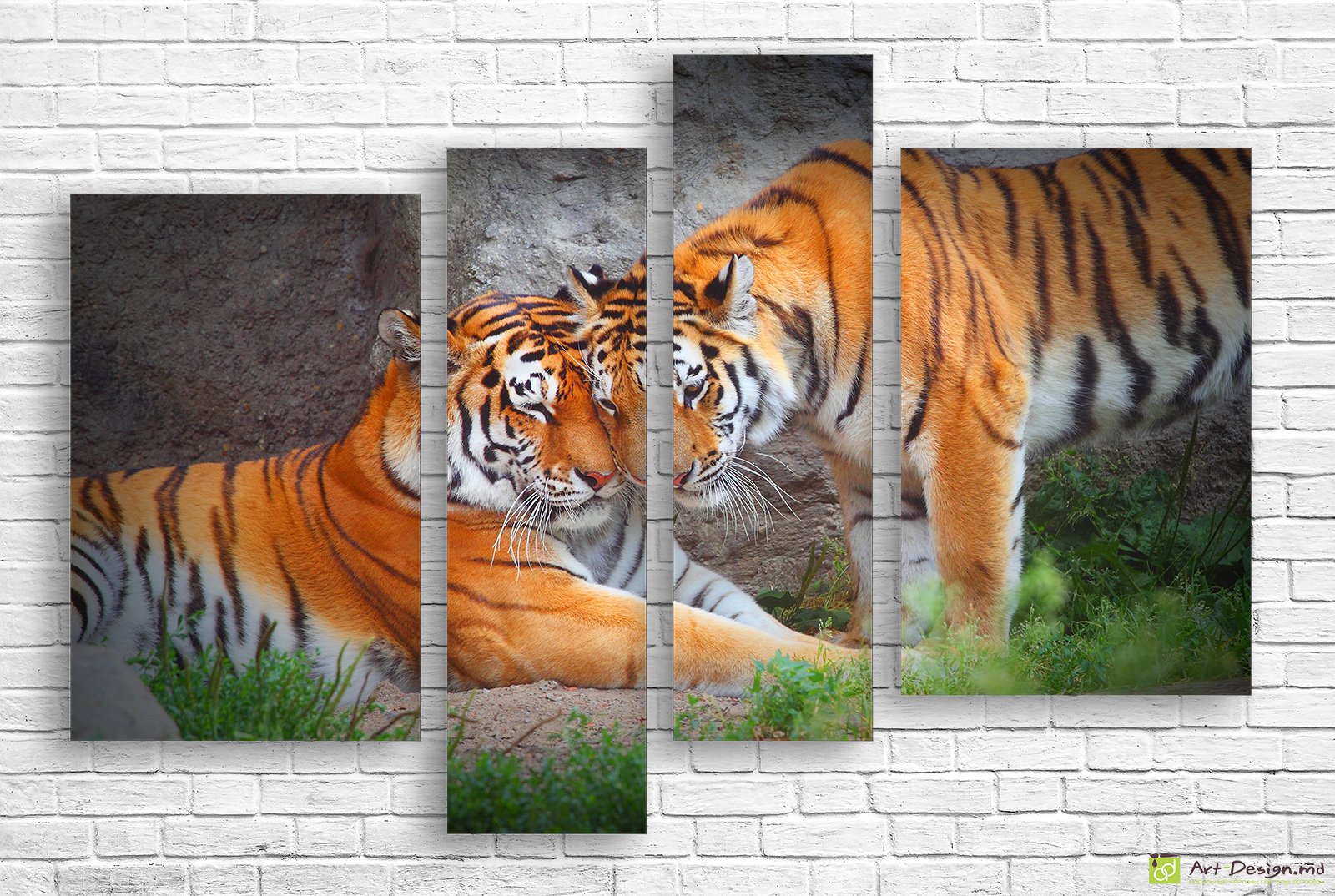 🐅 Tablou modular Tigri în natură