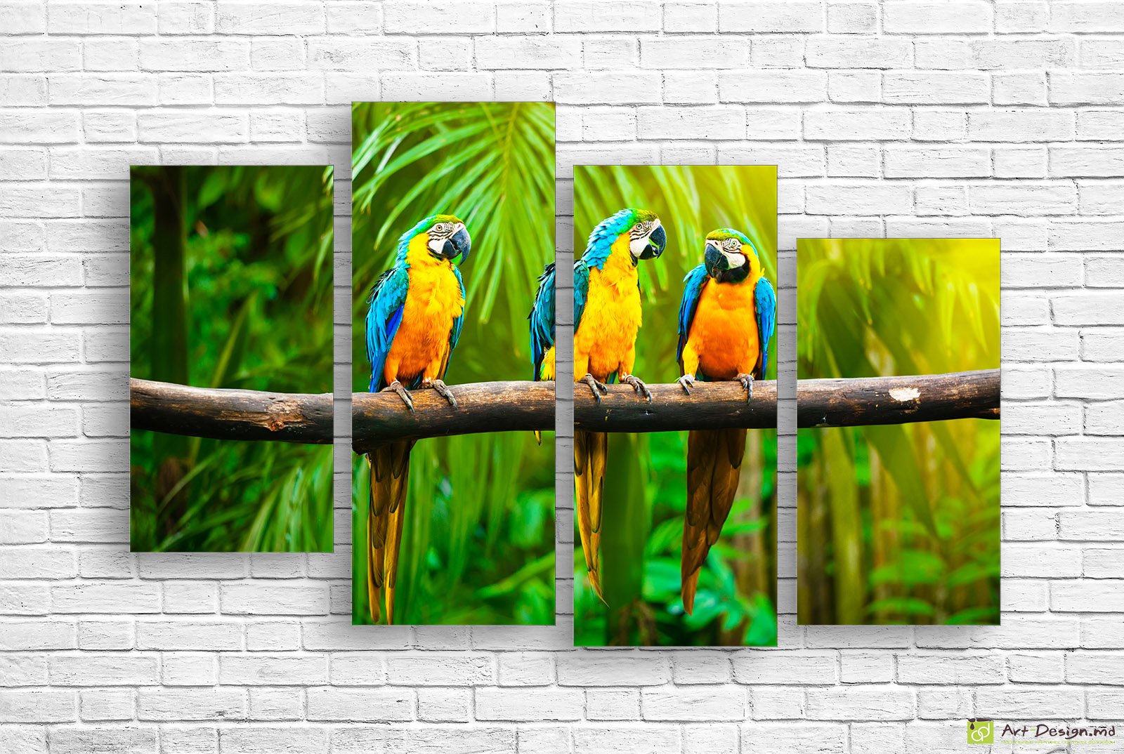 🦜 Tablou modular Papagali ara în junglă