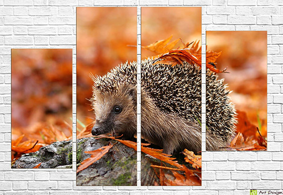 🦔 Tablou modular „Arici printre frunze de toamnă”