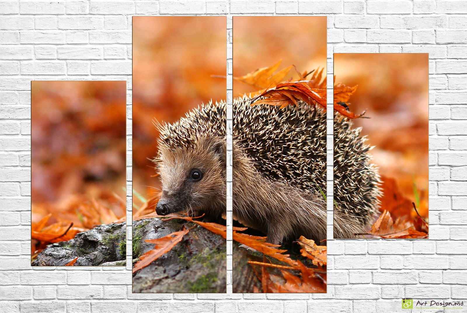 🦔 Tablou modular „Arici printre frunze de toamnă”