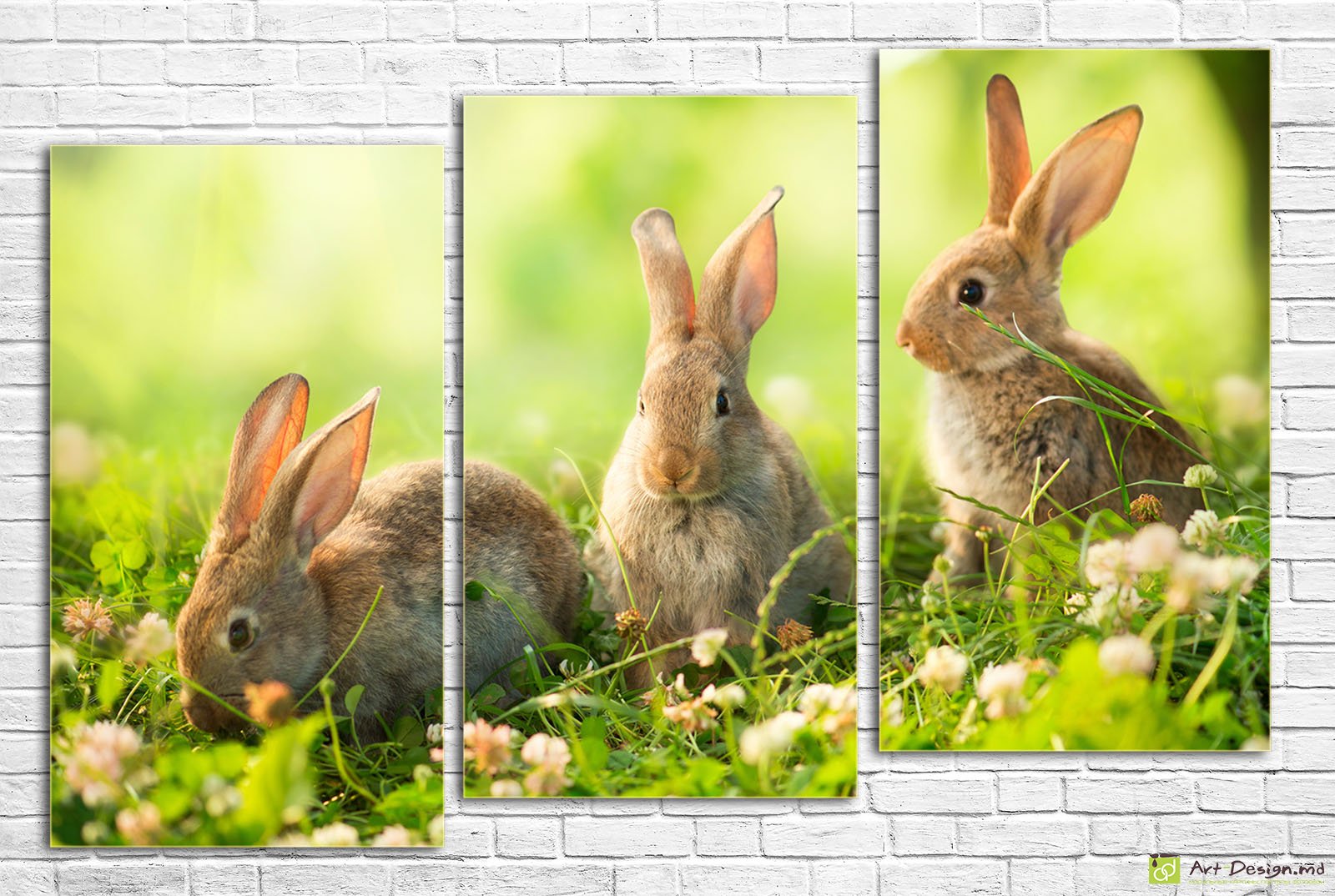 🐰 Tablou modular Iepurași drăguți pe pajiștea de primăvară