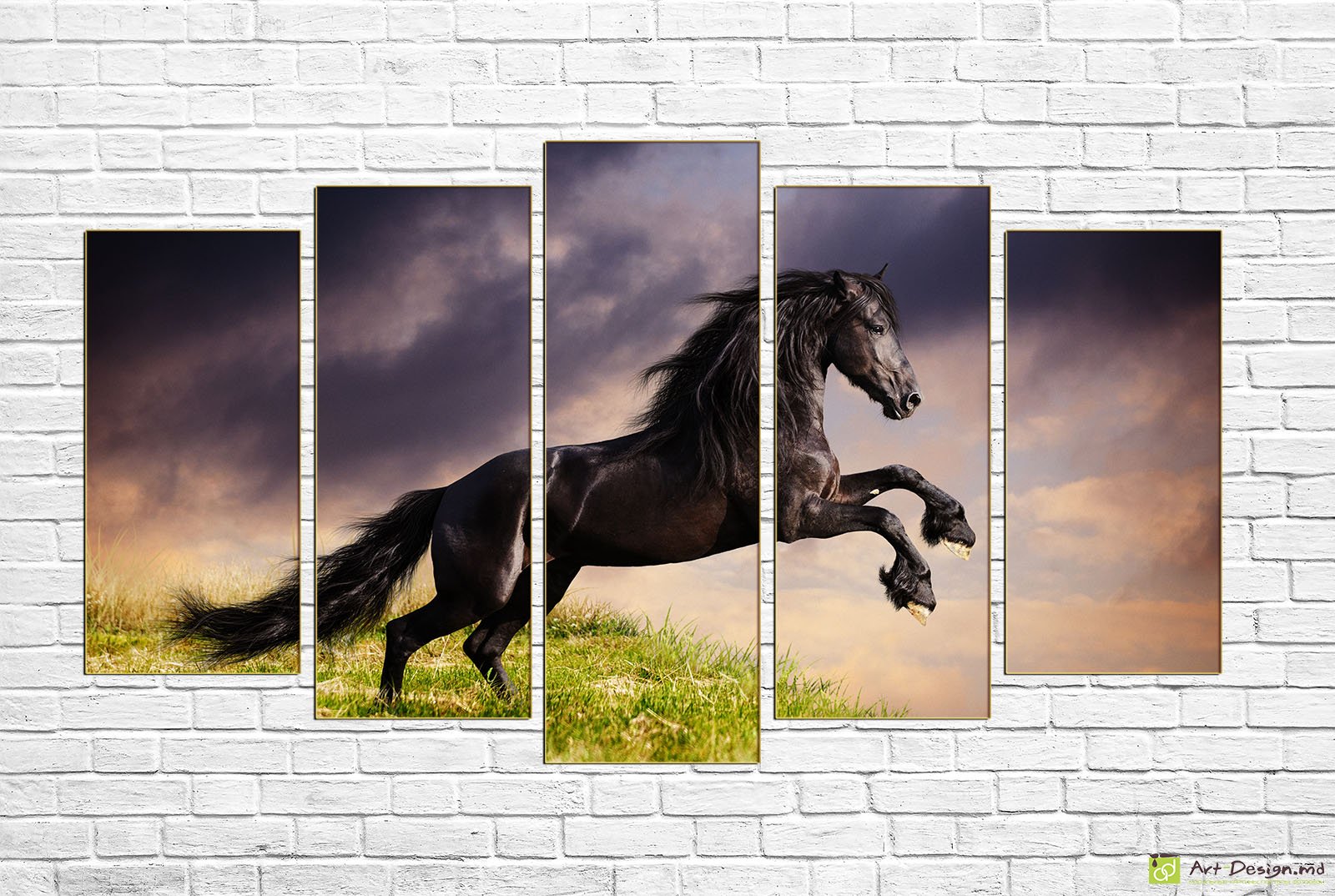 🐎 Модульная картина «Чёрный жеребец в поле»