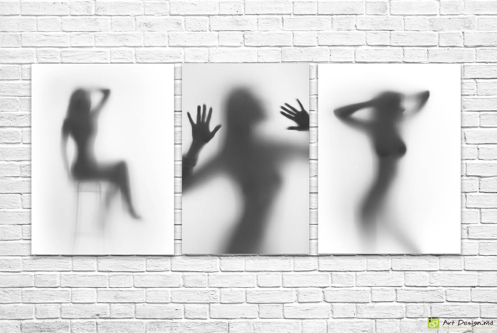 👤 Модульная картина Силуэты за стеклом в стиле ню