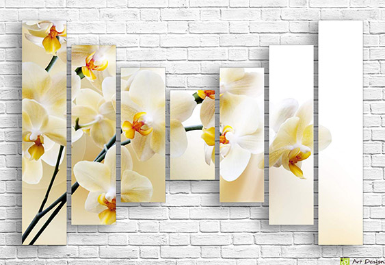 🌼 Модульная картина: Кремовые орхидеи на светлом фоне