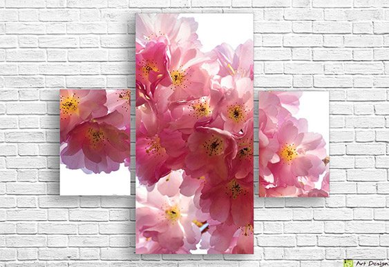 🌸 Модульная картина: Розовые цветы на белом фоне