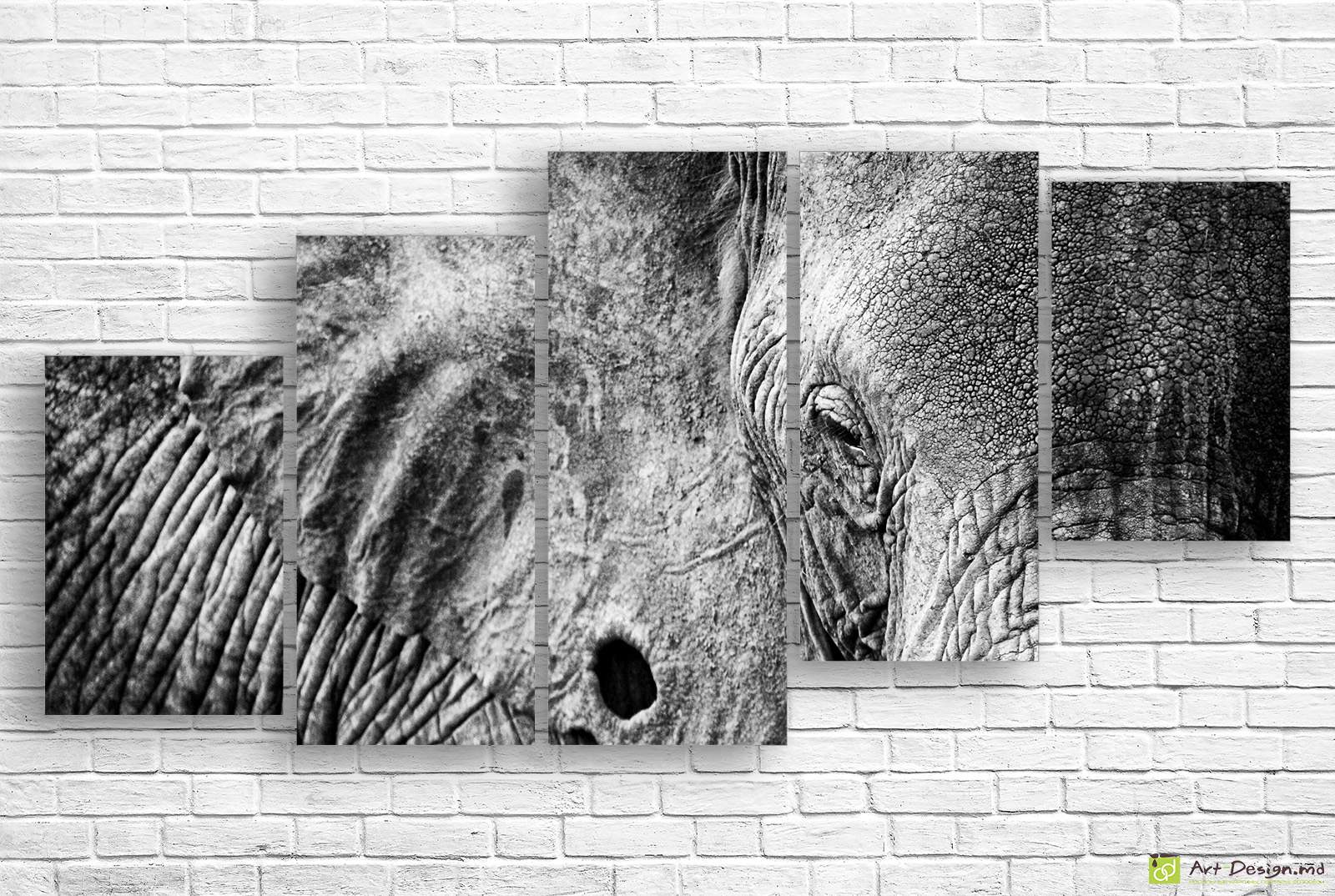 🐘 Модульная картина Крупный план кожи африканского слона