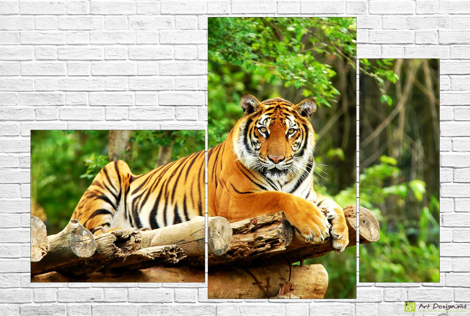 🐯 Модульная картина «Грация тигра»