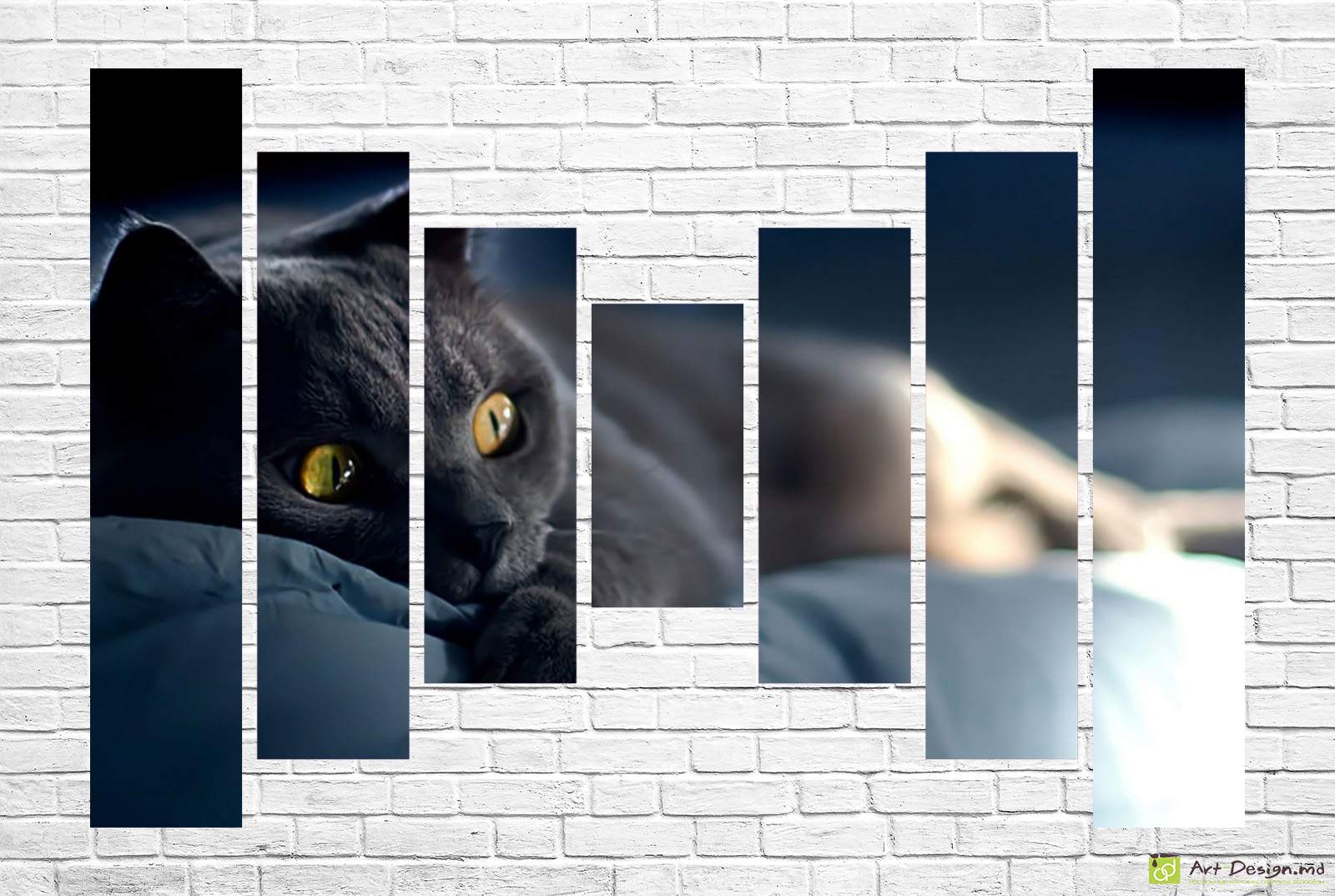 🐈 Модульная картина Взгляд черной кошки в темноте