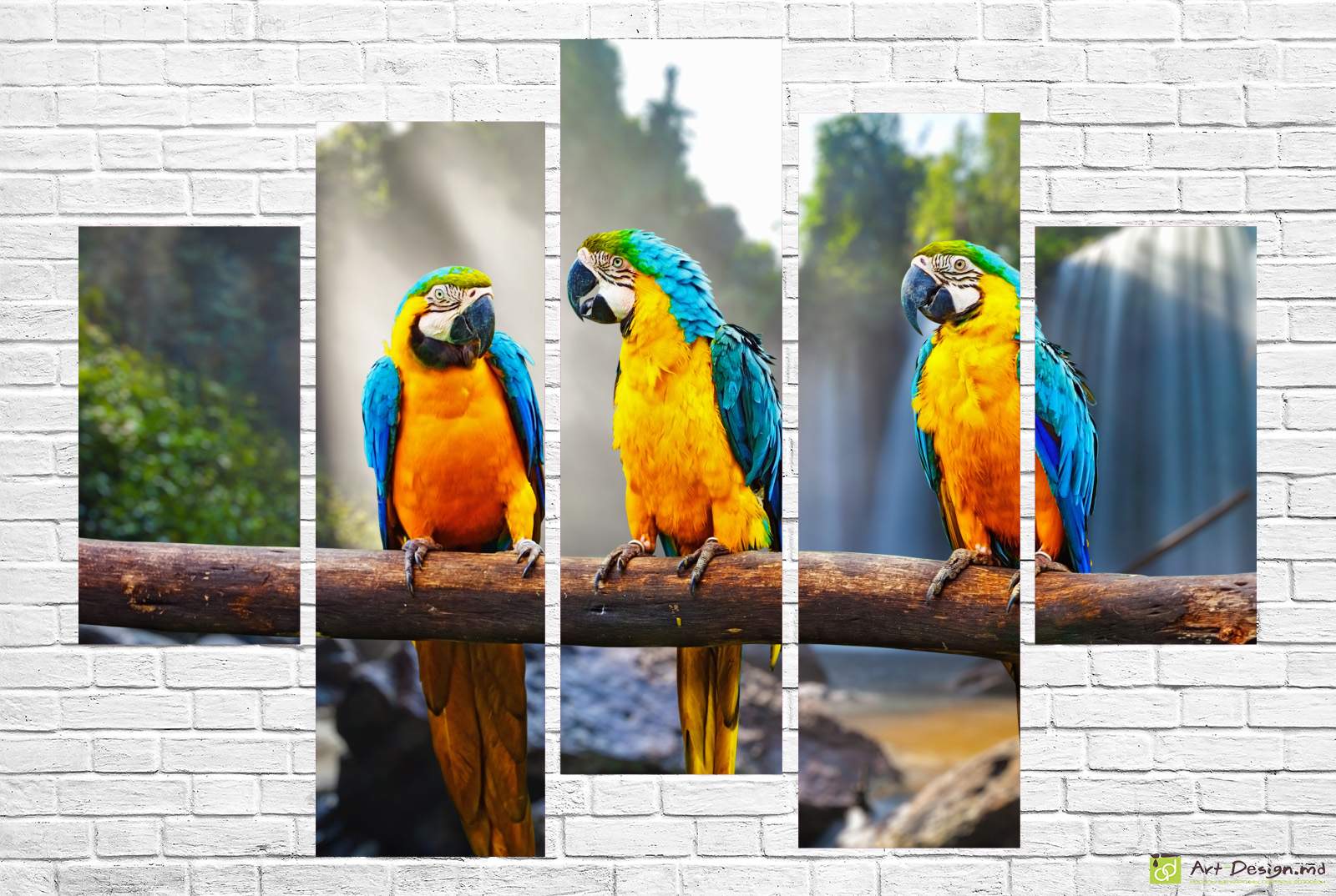 🦜 Модульная картина «Три попугая»