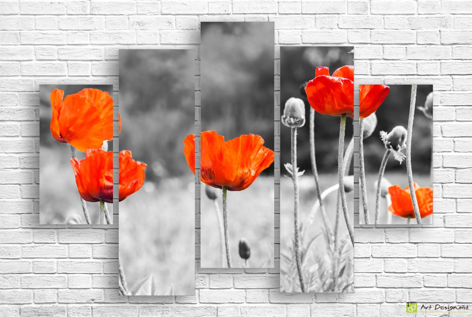 🌺 Модульная картина: Алые маки на чёрно-белом фоне