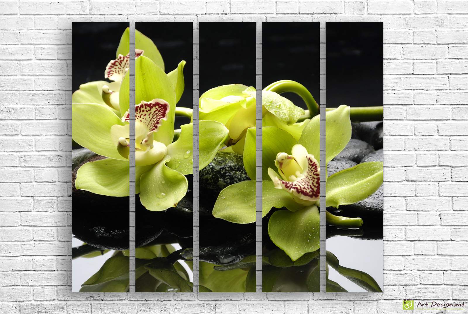 Модульная картина - Зеленовато-Белая орхидея