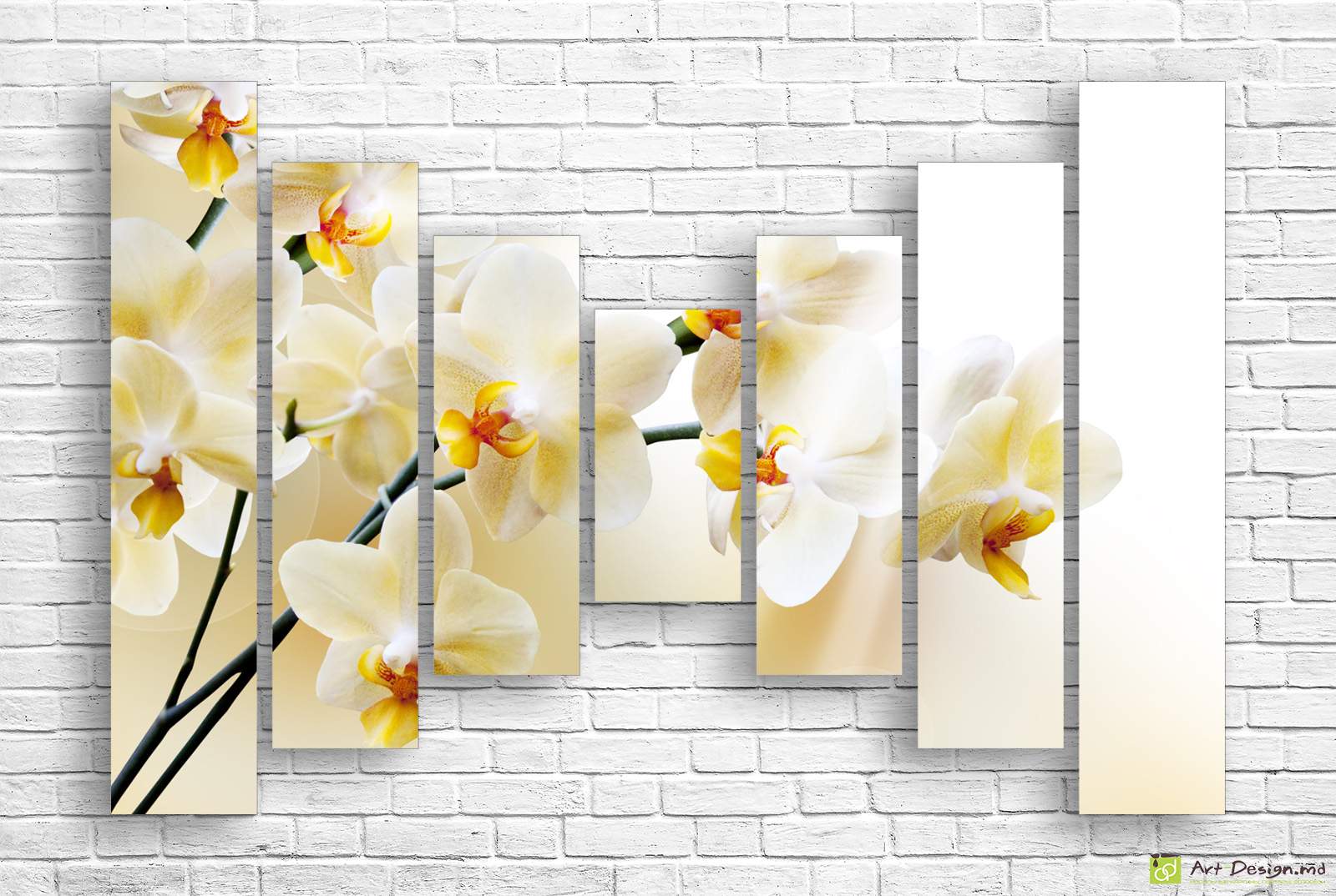 Модульная картина - Белая орхидея в цвету