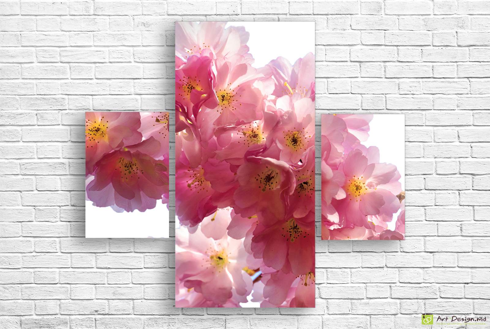 🌸 Модульная картина: Розовые цветы на белом фоне