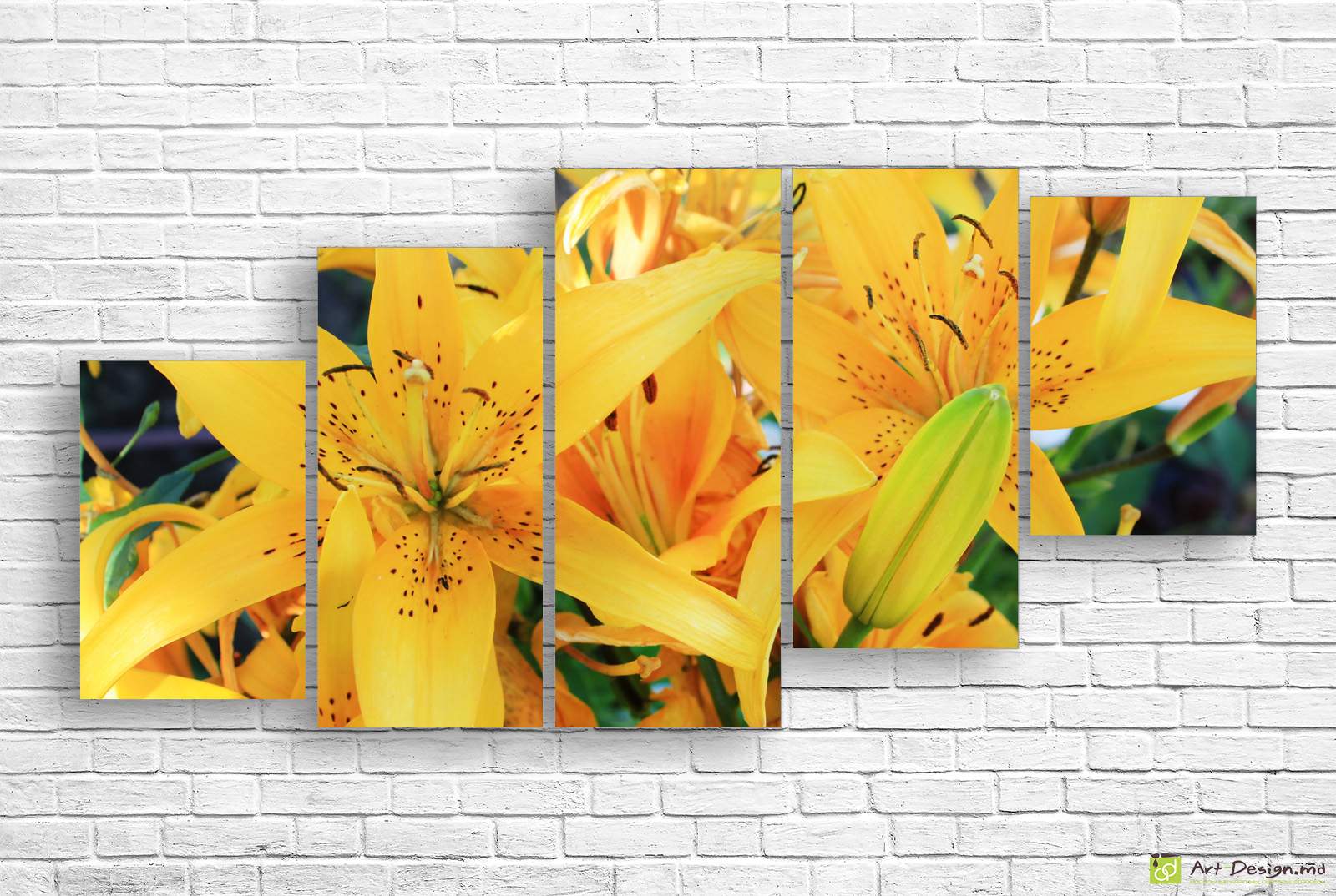 🌼 Модульная картина: Золотистая лилия в саду