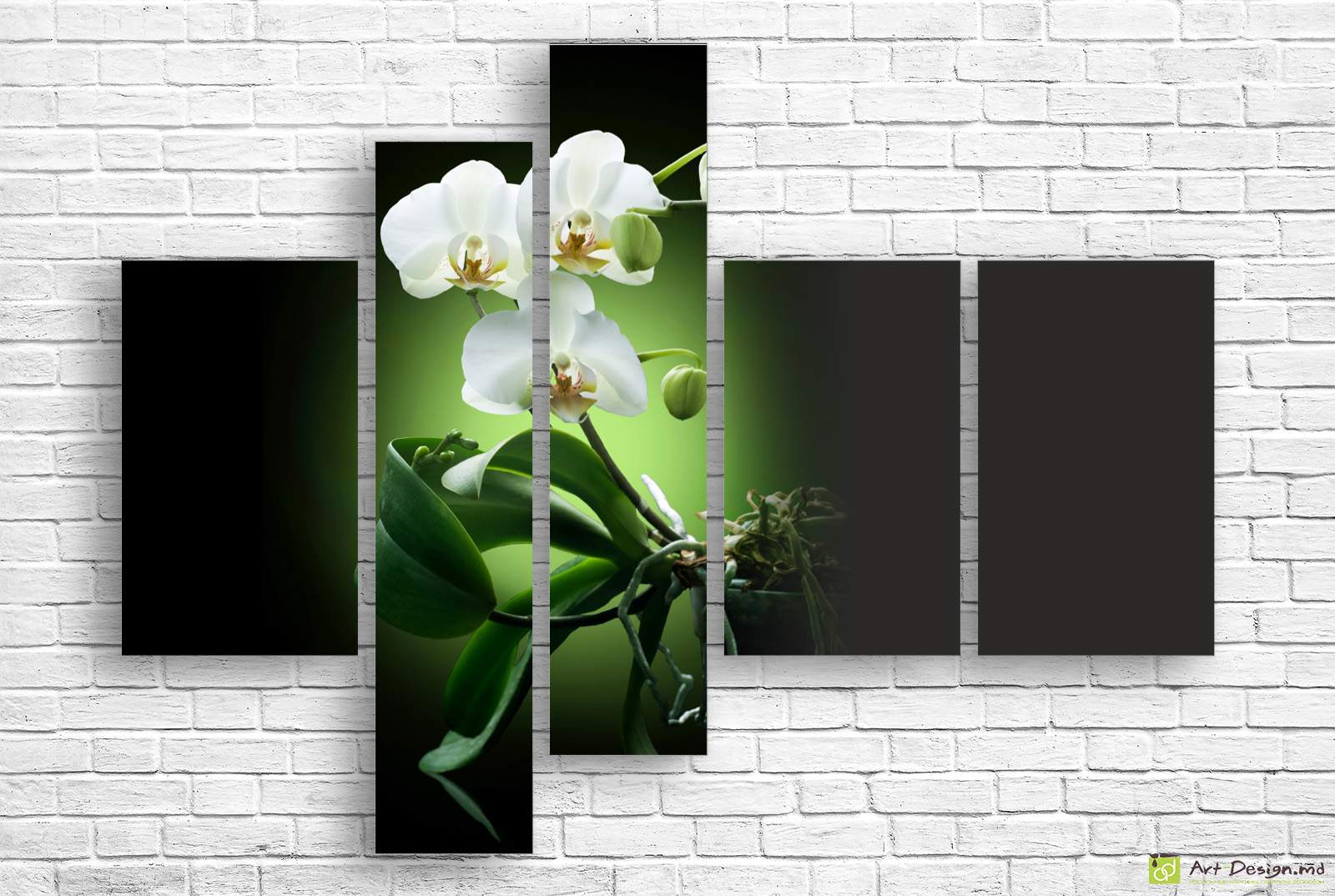 🌿 Tablou modular: Orhidee albă pe fundal contrastant