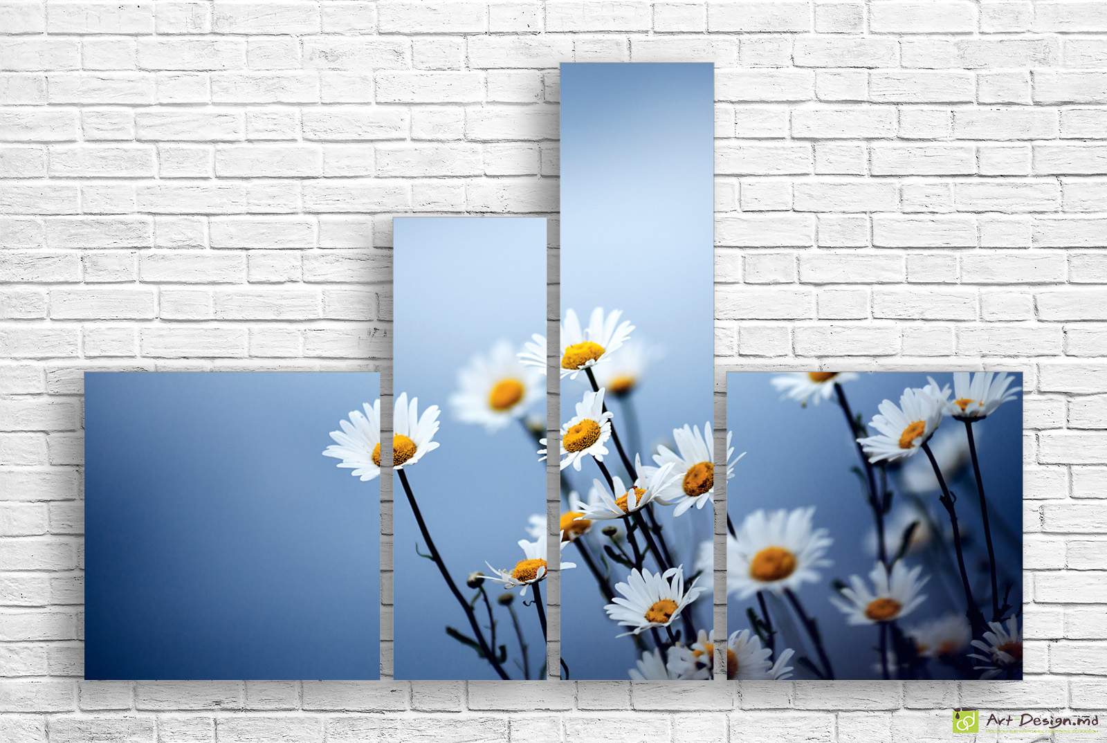 🌼 Tablou modular: Romanițe gingașe pe fundal albastru senin