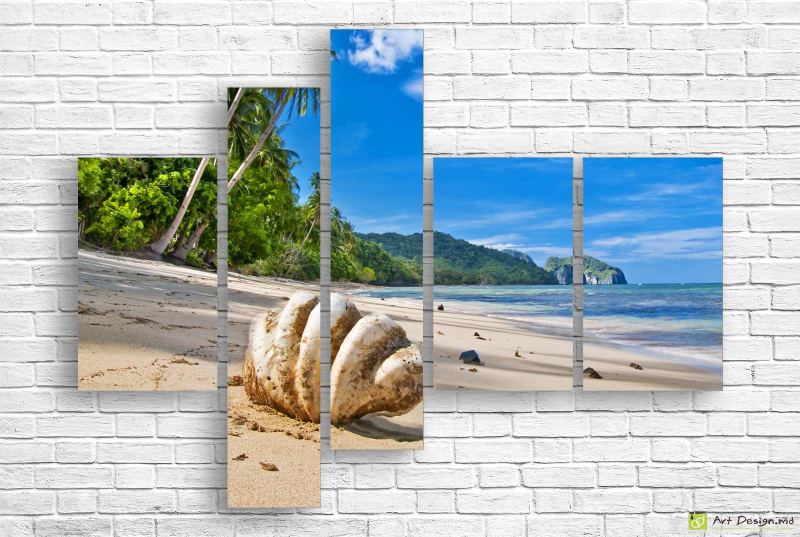 🐚 Tablou modular Scoica giganta pe nisipul alb