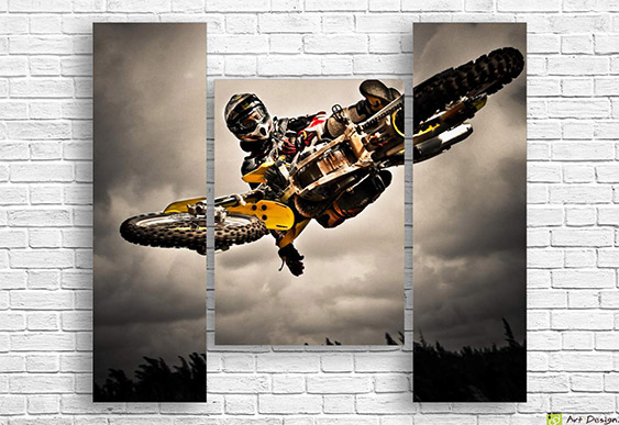 ⚽ Модульная картина Триумф на футбольной арене