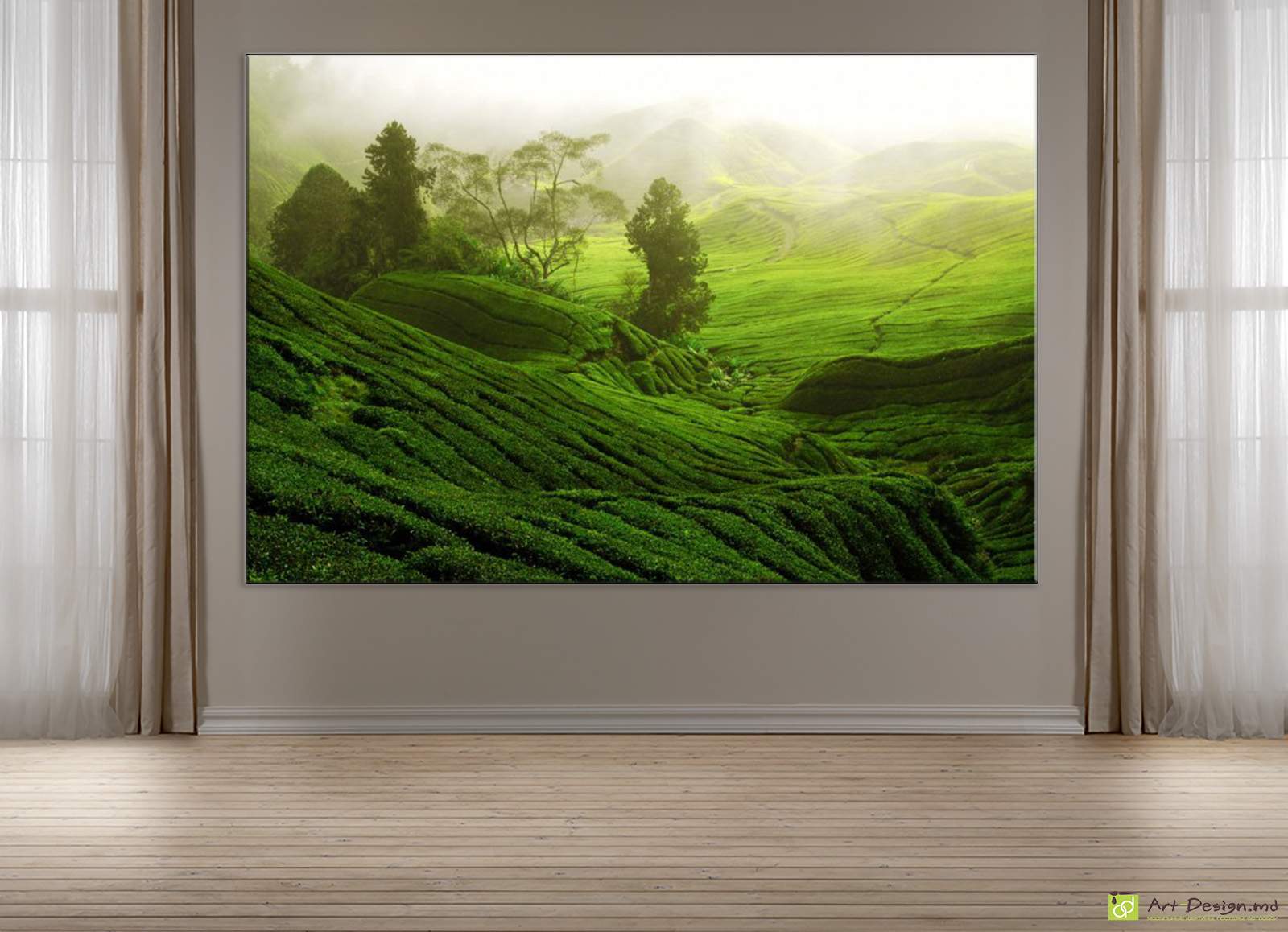 Чайные плантации в тумане, Постер на холсте