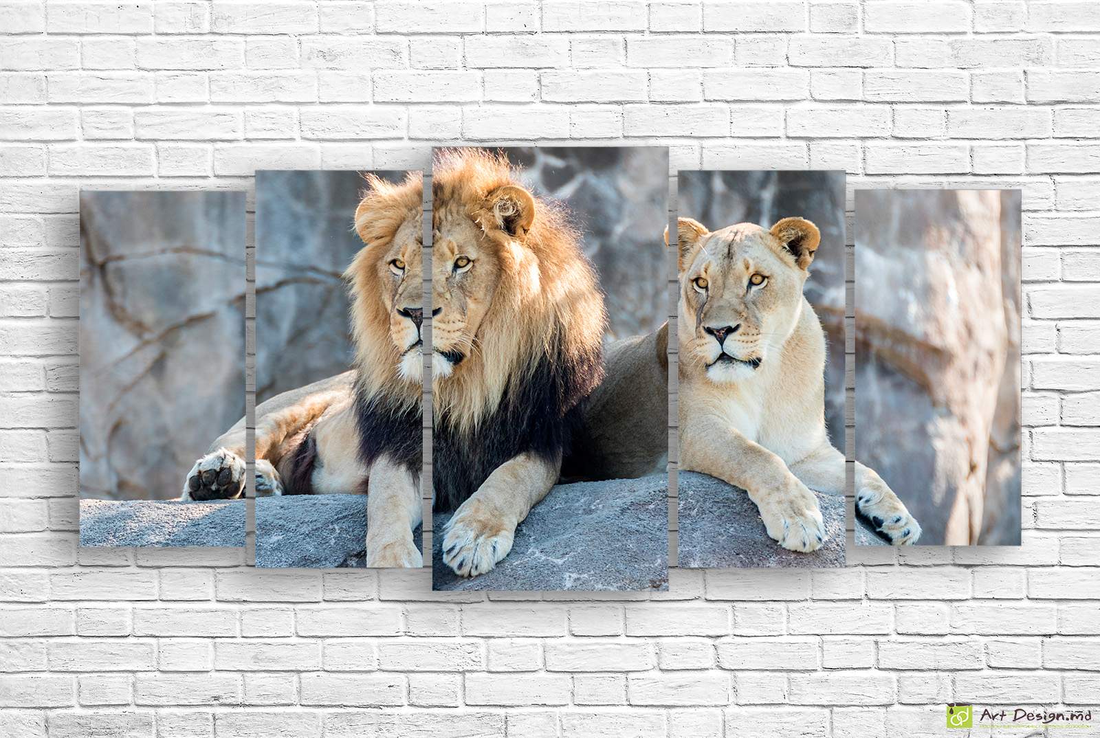 🦁 Модульная картина Прайд львов на отдыхе в саванне