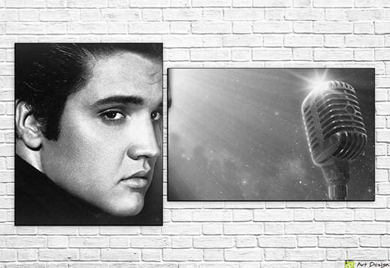🎤 Tablou modular „Elvis Presley și microfon”