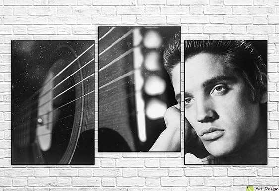 🎸 Tablou modular Elvis Presley și chitară în stil alb-negru