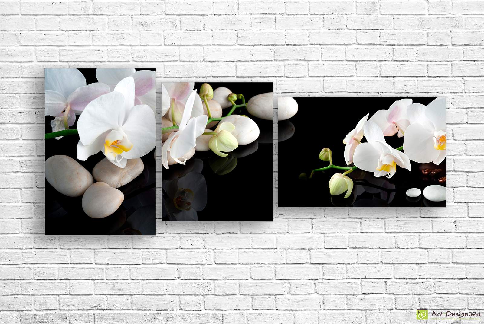 🌿 Модульная картина: Белоснежные орхидеи и камни