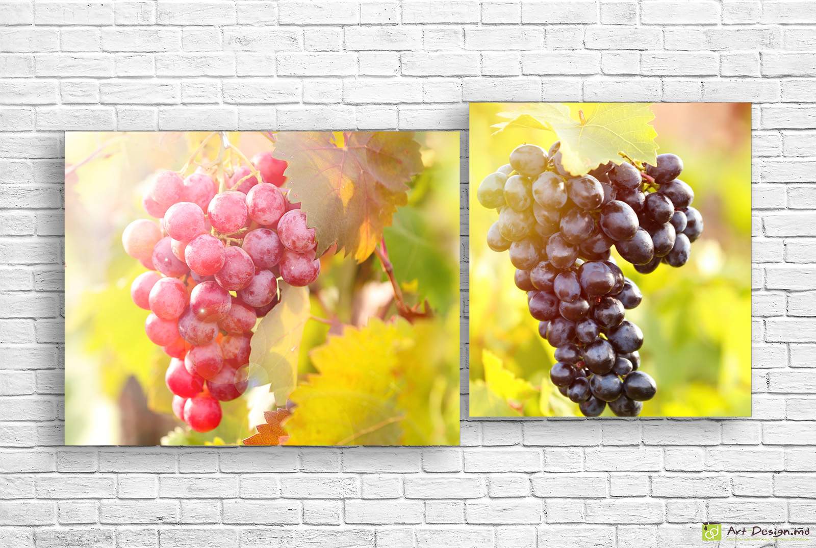 Tablou multicanvas -  Struguri suculenți