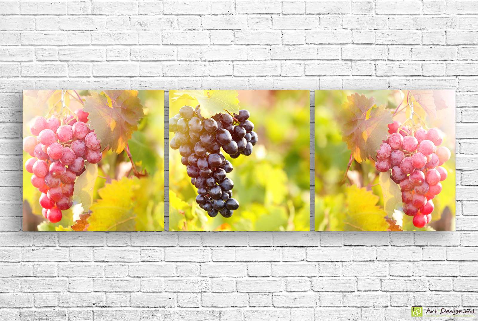 Tablou multicanvas -  Struguri suculenți in Moldova