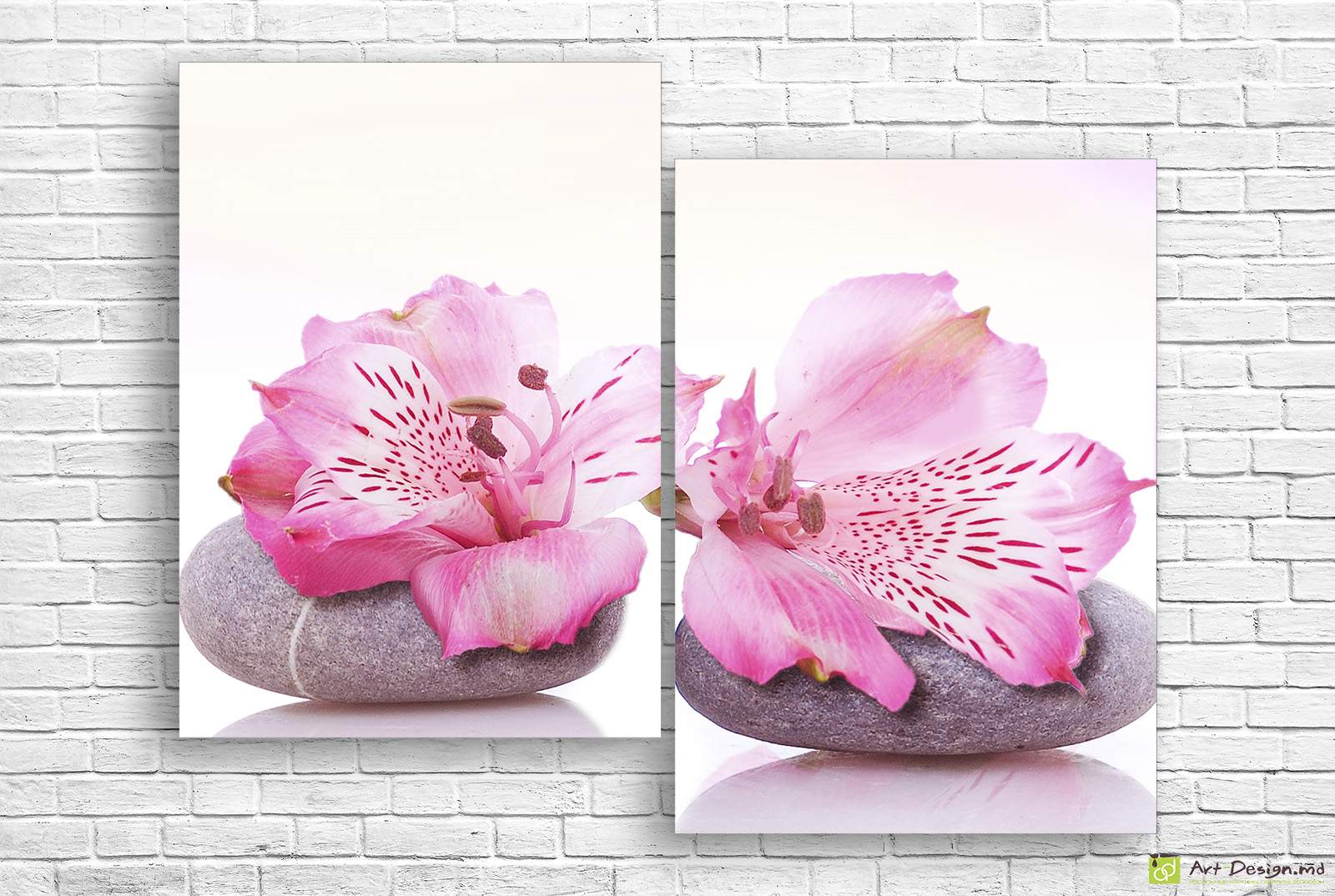 🧘 Tablou modular Alstroemeria roz pe pietre