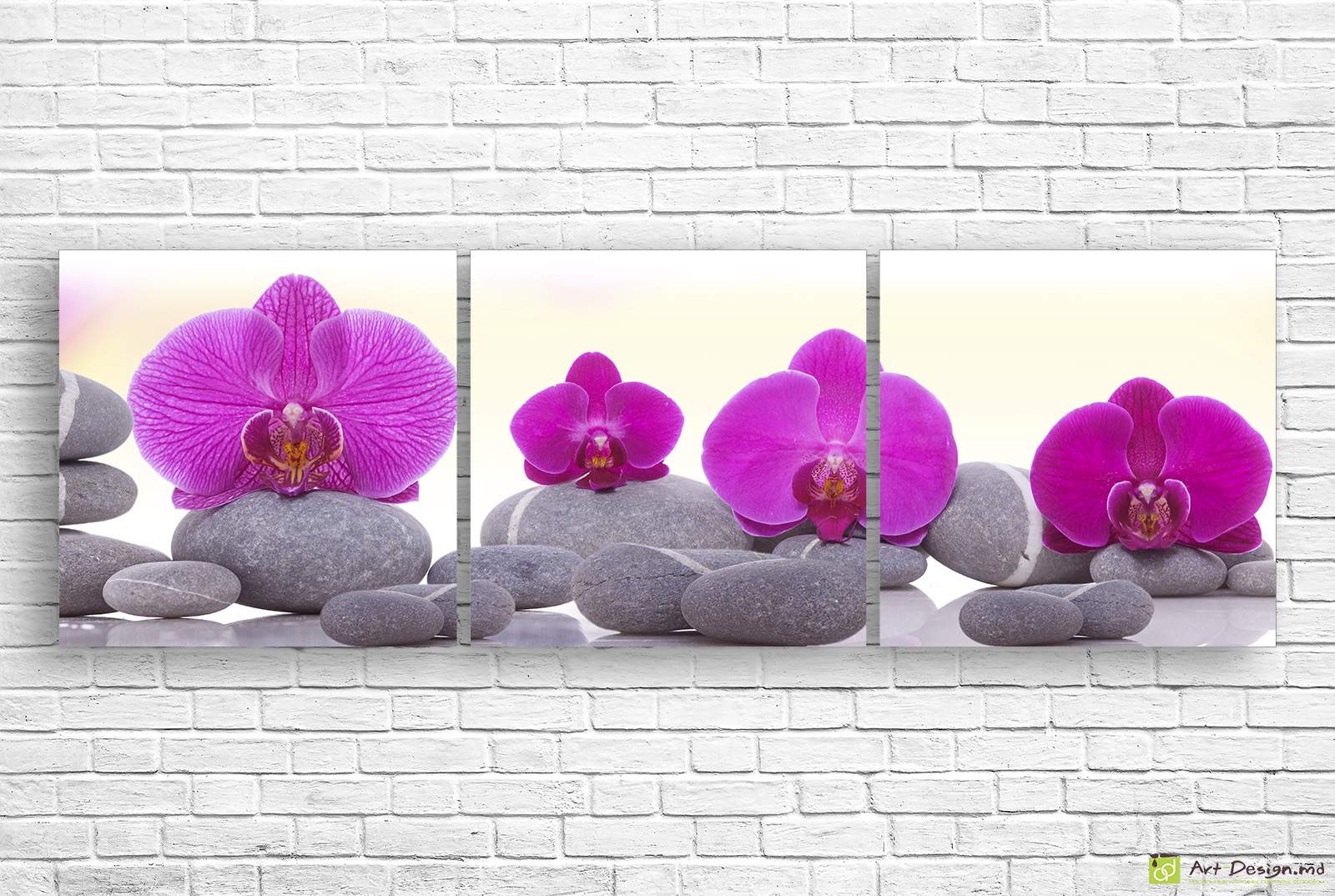 🧘 Модульная картина Розовые орхидеи на камнях дзен