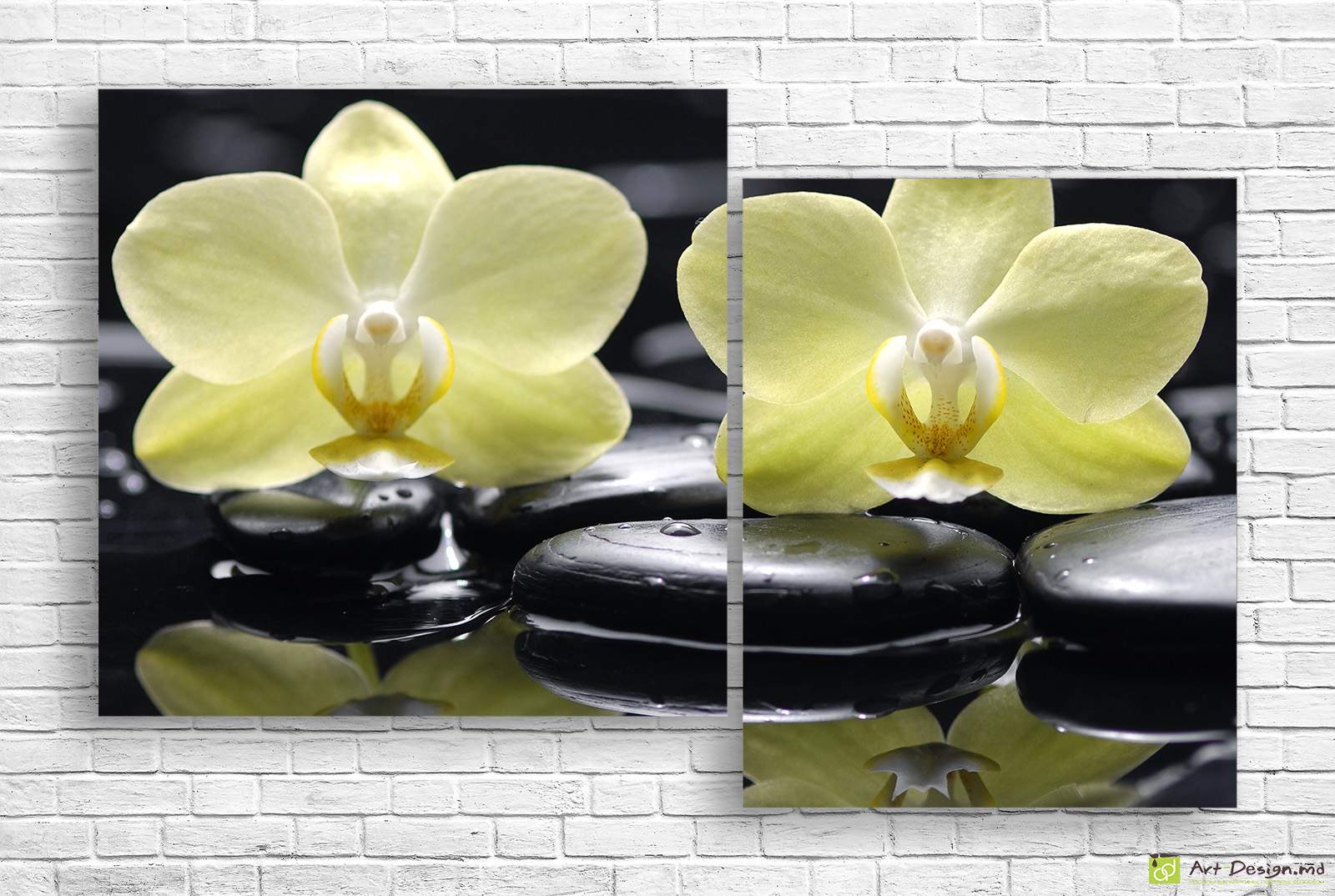 🌼 Tablou modular „Orhidee pe pietre”