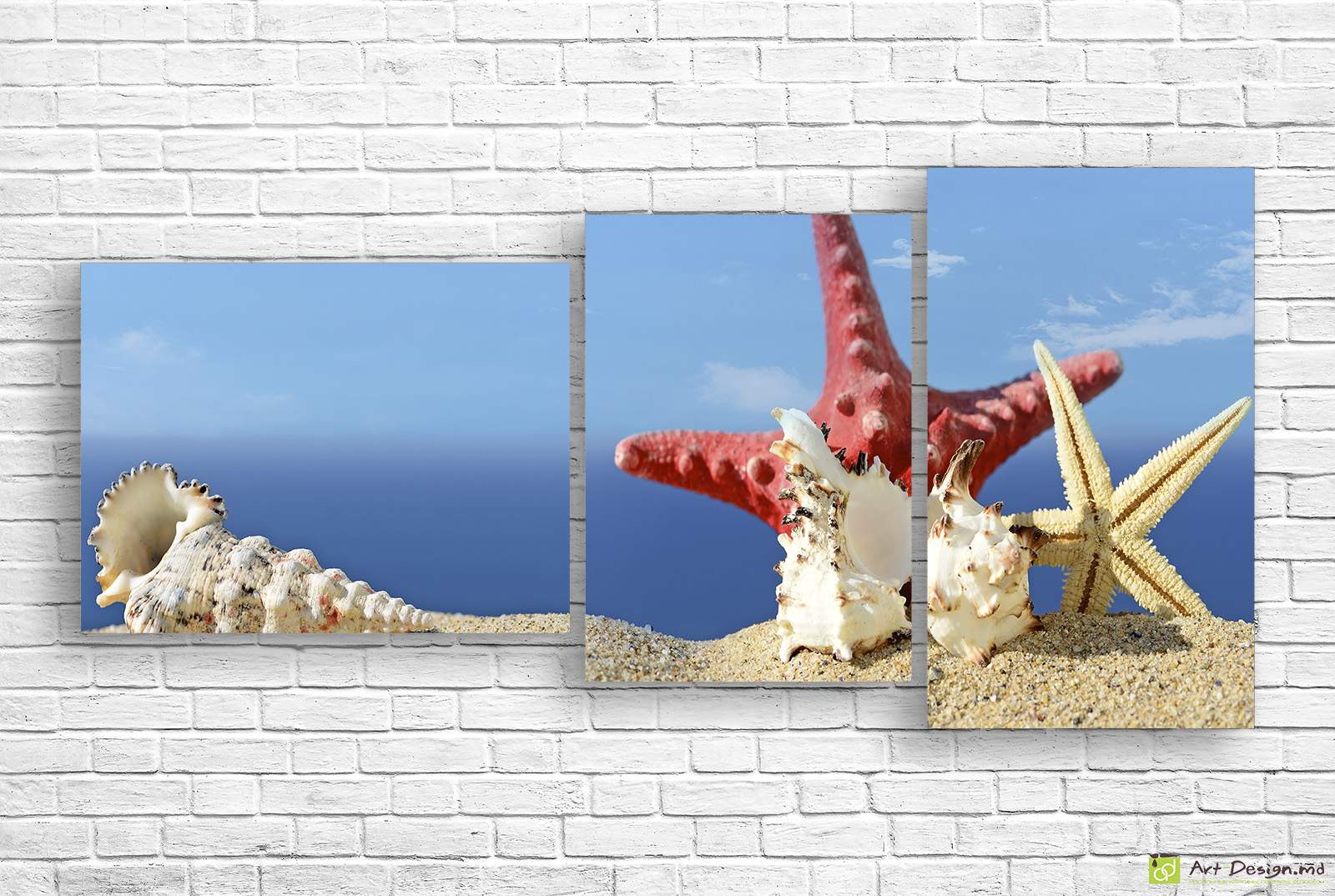 🐚 Модульная картина Морские ракушки и звезды