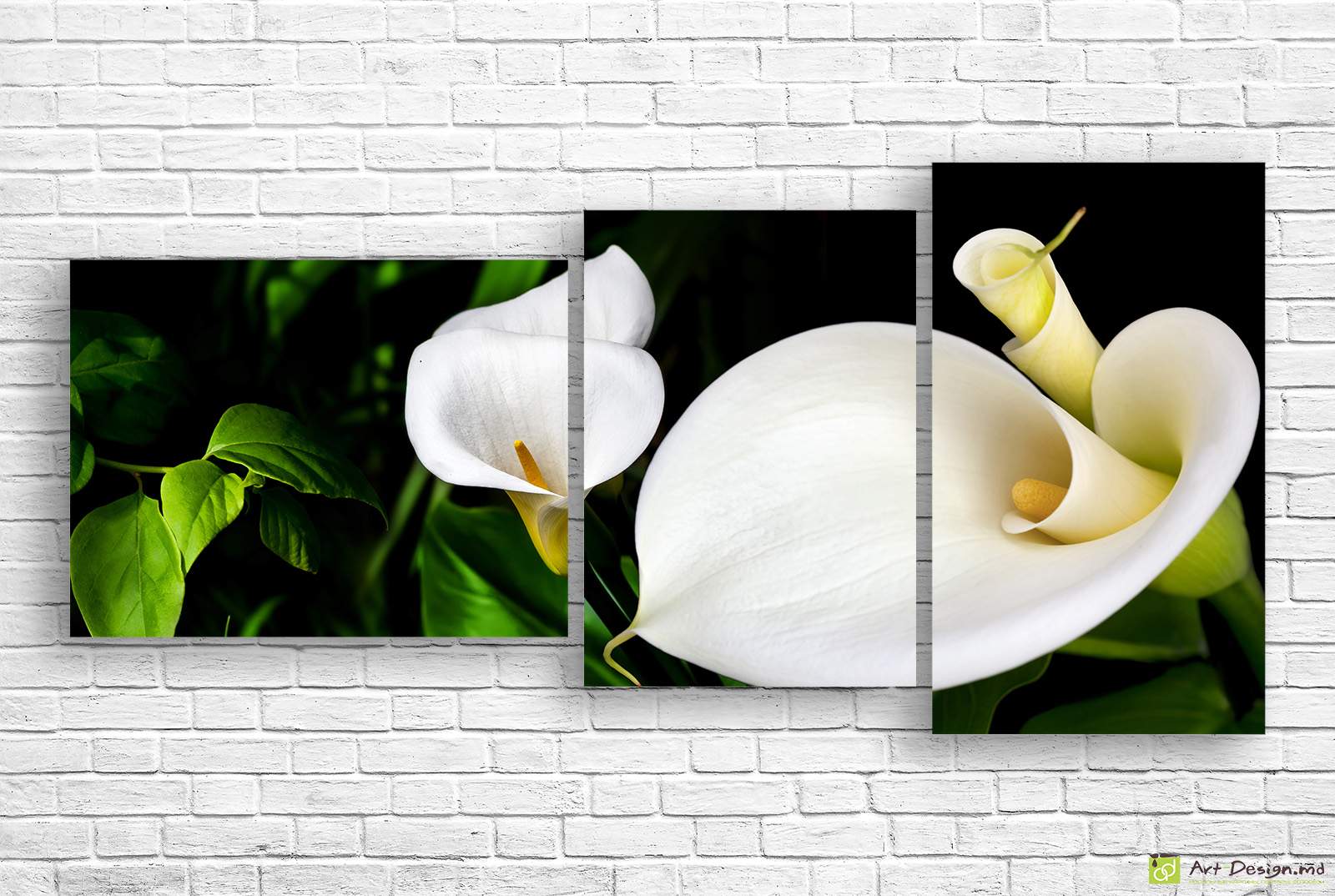 🤍 Модульная картина Белые каллы на темном фоне