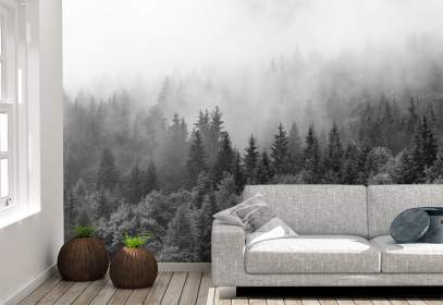 Фотообои - Туман над лесом