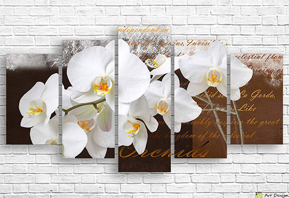 🌸 Tablou modular Orhidee albe și sensuri