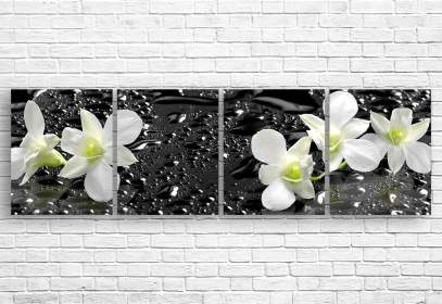 Модульная картина - Белые орхидеи
